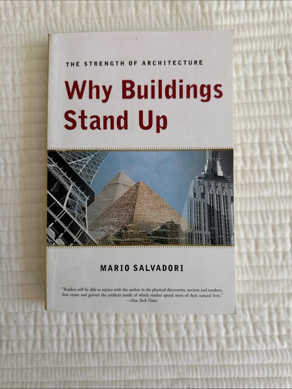 Why Buildings Stand Up by — White and Red Cover